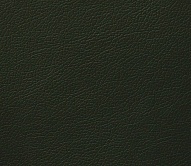 ����� (DOMUS) - ����� ����, ��������� ����� (DOMUS)