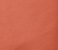 ����� (DOMUS) - ����� �����, ��������� ����� (DOMUS)