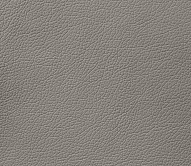 ����� (DOMUS) - ����� �����, ��������� ����� (DOMUS)